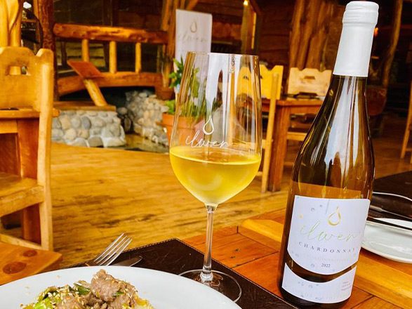 vina-aires-de-menetue9a